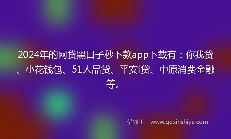 2024年的网贷黑口子秒下款app下载有：你我贷、小花钱包、51人品贷、平安i贷、中原消费金融等。