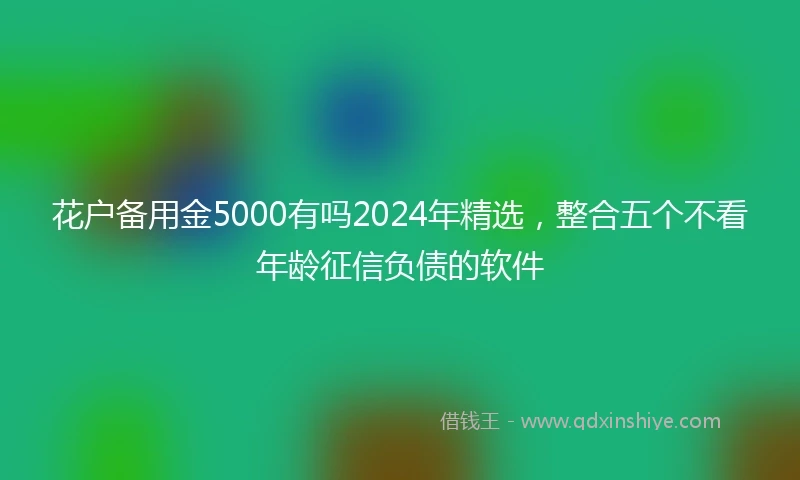 花户备用金5000有吗2024年精选，整合五个不看年龄征信负债的软件