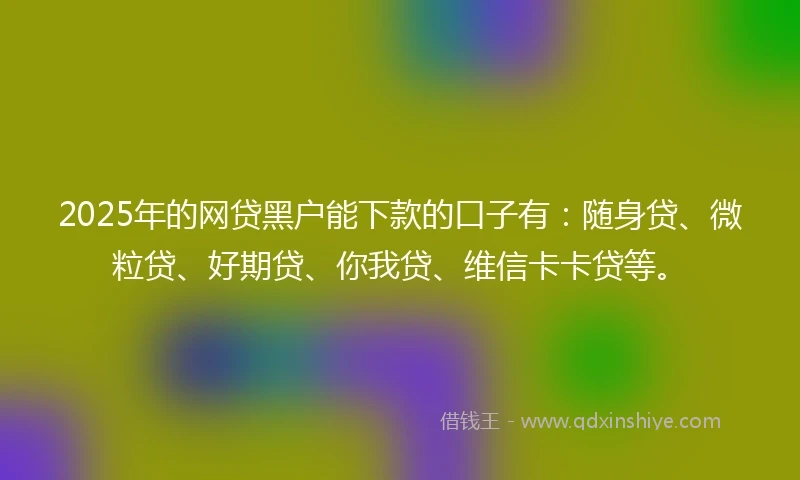 2025年的网贷黑户能下款的口子有：随身贷、微粒贷、好期贷、你我贷、维信卡卡贷等。