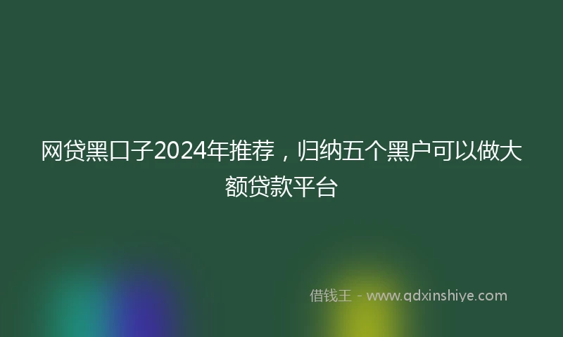 网贷黑口子2024年推荐，归纳五个黑户可以做大额贷款平台