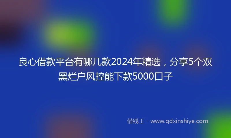 良心借款平台有哪几款2024年精选，分享5个双黑烂户风控能下款5000口子