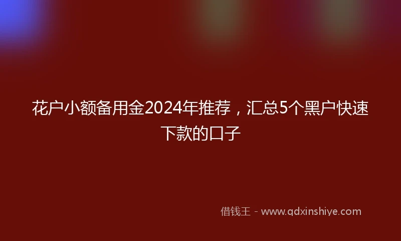 花户小额备用金2024年推荐，汇总5个黑户快速下款的口子