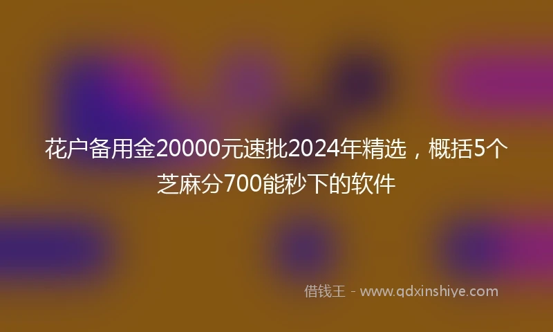 花户备用金20000元速批2024年精选，概括5个芝麻分700能秒下的软件