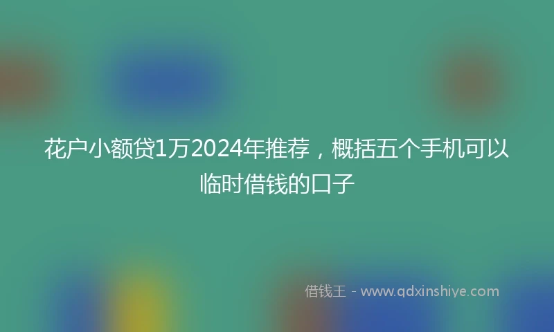 花户小额贷1万2024年推荐，概括五个手机可以临时借钱的口子