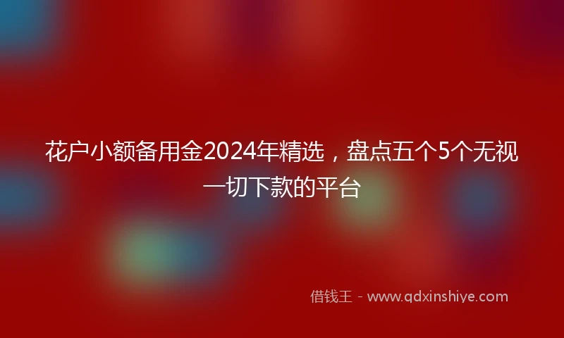 花户小额备用金2024年精选，盘点五个5个无视一切下款的平台
