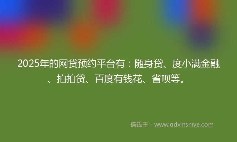 2025年的网贷预约平台有：随身贷、度小满金融、拍拍贷、百度有钱花、省呗等。