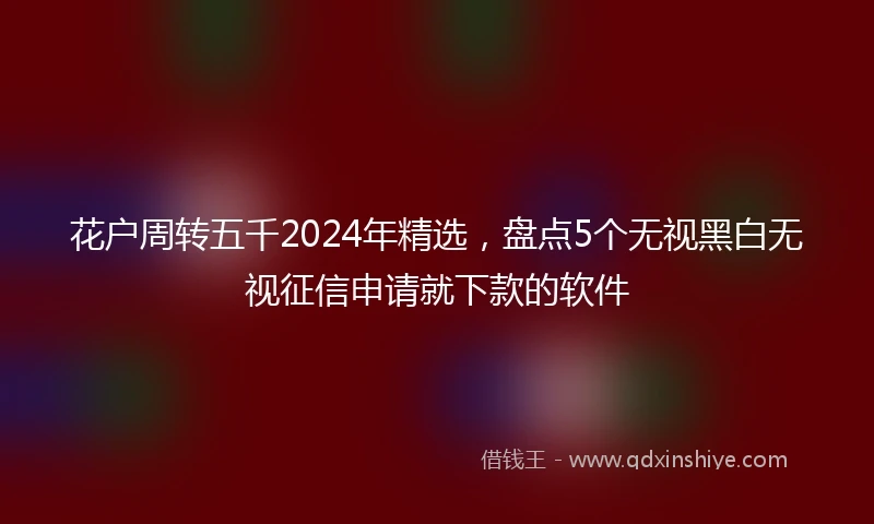 花户周转五千2024年精选，盘点5个无视黑白无视征信申请就下款的软件