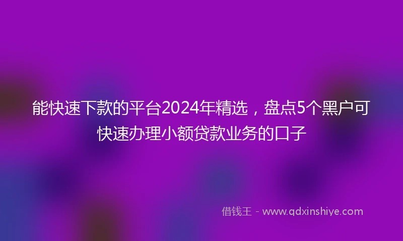 能快速下款的平台2024年精选，盘点5个黑户可快速办理小额贷款业务的口子