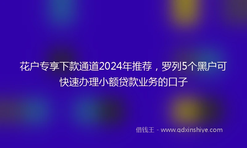 花户专享下款通道2024年推荐，罗列5个黑户可快速办理小额贷款业务的口子