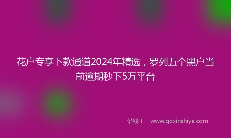 花户专享下款通道2024年精选，罗列五个黑户当前逾期秒下5万平台