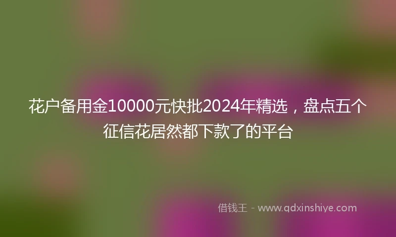 花户备用金10000元快批2024年精选，盘点五个征信花居然都下款了的平台