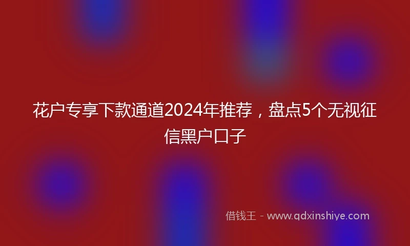 花户专享下款通道2024年推荐，盘点5个无视征信黑户口子