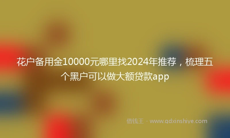 花户备用金10000元哪里找2024年推荐，梳理五个黑户可以做大额贷款app