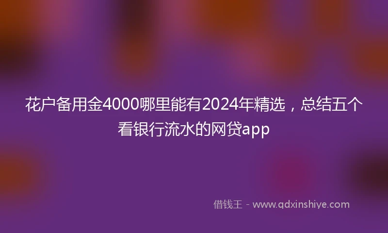 花户备用金4000哪里能有2024年精选，总结五个看银行流水的网贷app