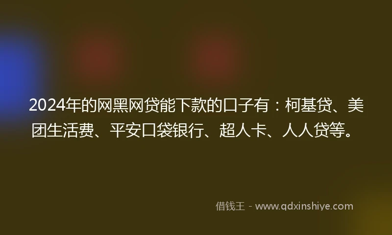 2024年的网黑网贷能下款的口子有：柯基贷、美团生活费、平安口袋银行、超人卡、人人贷等。