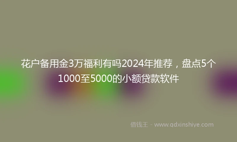 花户备用金3万福利有吗2024年推荐，盘点5个1000至5000的小额贷款软件