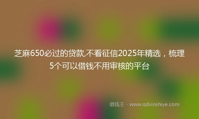 芝麻650必过的贷款,不看征信2025年精选，梳理5个可以借钱不用审核的平台