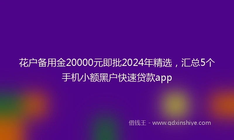 花户备用金20000元即批2024年精选，汇总5个手机小额黑户快速贷款app