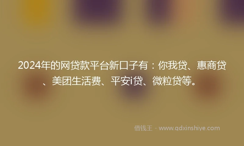 2024年的网贷款平台新口子有：你我贷、惠商贷、美团生活费、平安i贷、微粒贷等。