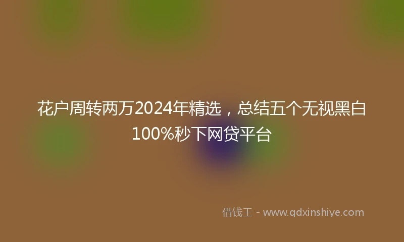 花户周转两万2024年精选，总结五个无视黑白100%秒下网贷平台