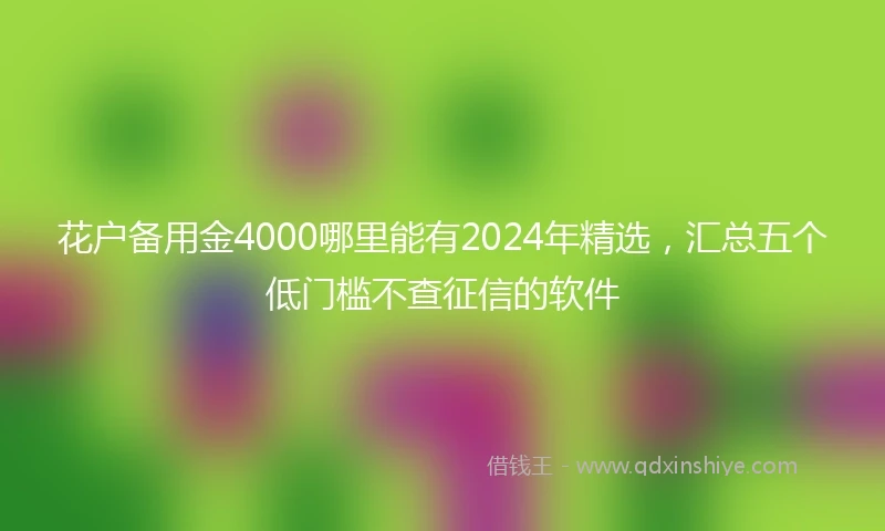花户备用金4000哪里能有2024年精选，汇总五个低门槛不查征信的软件