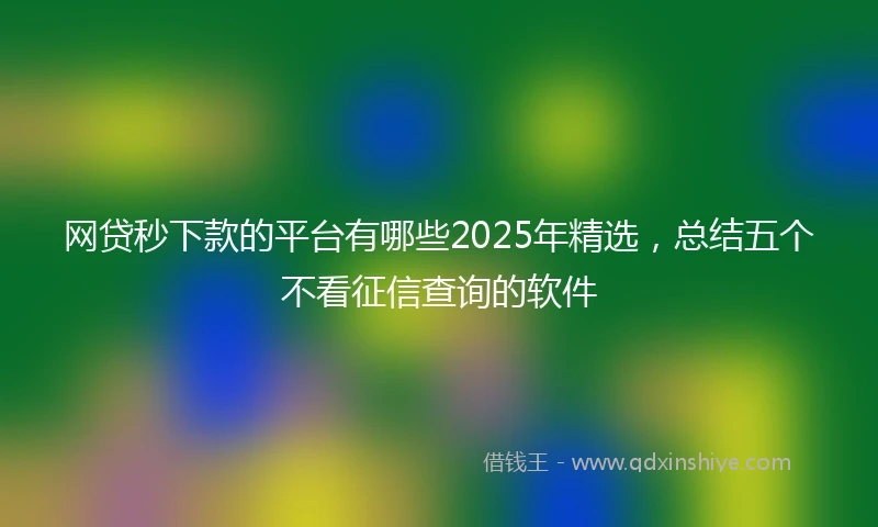 网贷秒下款的平台有哪些2025年精选，总结五个不看征信查询的软件