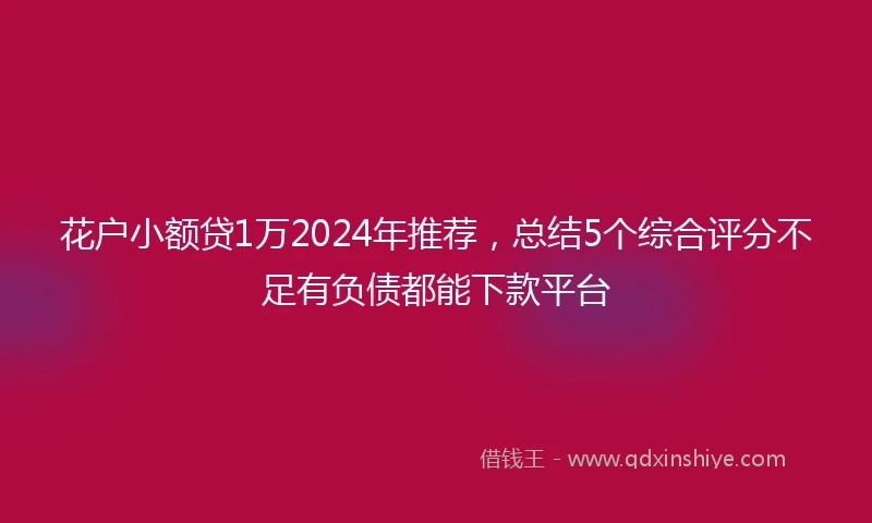 花户小额贷1万2024年推荐，总结5个综合评分不足有负债都能下款平台