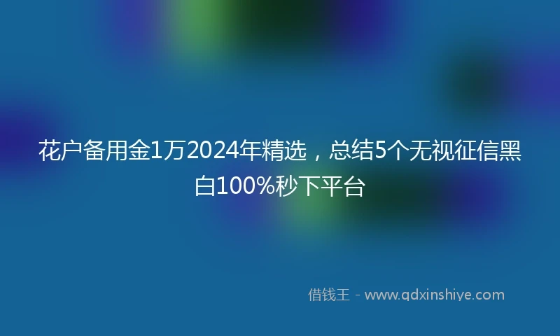 花户备用金1万2024年精选，总结5个无视征信黑白100%秒下平台