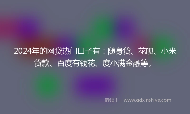 2024年的网贷热门口子有：随身贷、花呗、小米贷款、百度有钱花、度小满金融等。