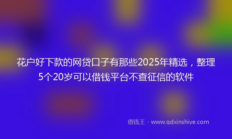 花户好下款的网贷口子有那些2025年精选,整理5个20岁可以借钱平台不查征信的软件