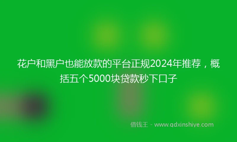 花户和黑户也能放款的平台正规2024年推荐，概括五个5000块贷款秒下口子