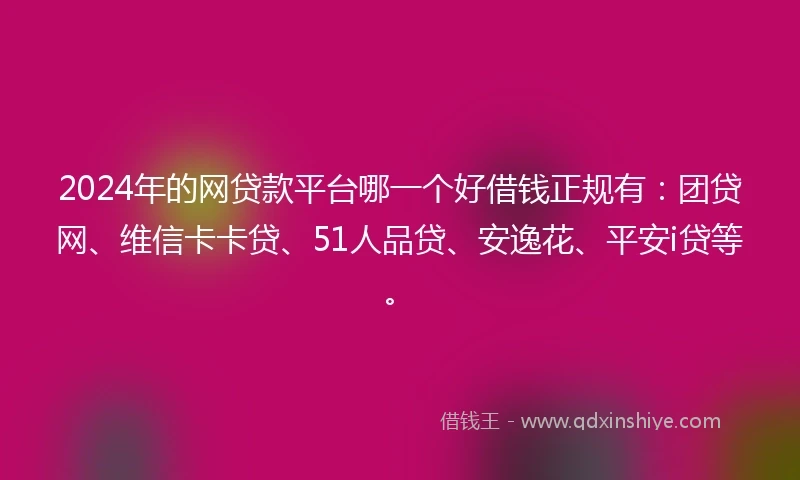 2024年的网贷款平台哪一个好借钱正规有：团贷网、维信卡卡贷、51人品贷、安逸花、平安i贷等。
