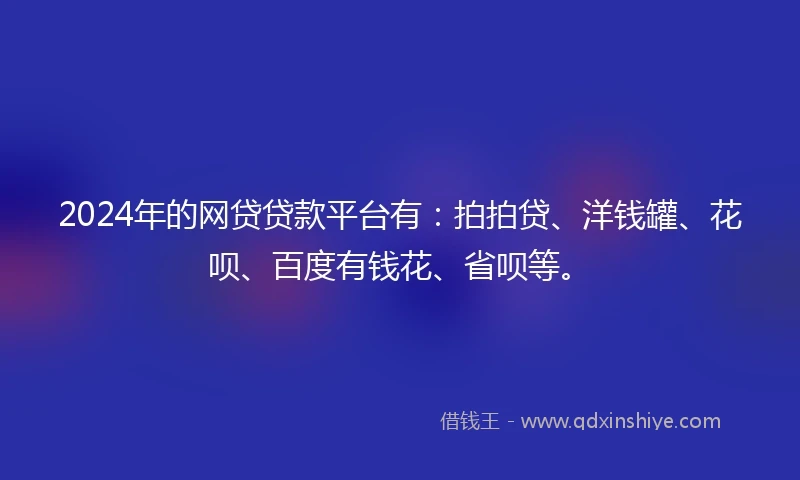 2024年的网贷贷款平台有：拍拍贷、洋钱罐、花呗、百度有钱花、省呗等。