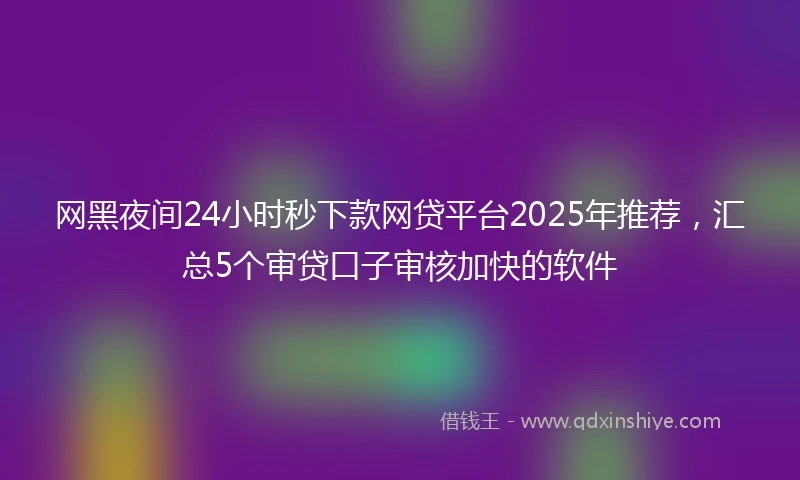 网黑夜间24小时秒下款网贷平台2025年推荐，汇总5个审贷口子审核加快的软件