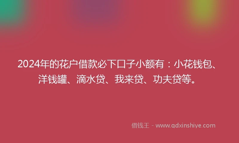 2024年的花户借款必下口子小额有：小花钱包、洋钱罐、滴水贷、我来贷、功夫贷等。