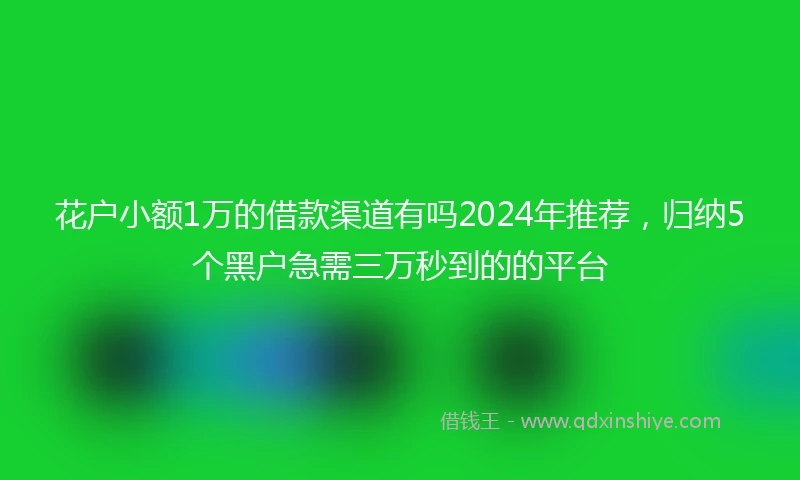 花户小额1万的借款渠道有吗2024年推荐，归纳5个黑户急需三万秒到的的平台