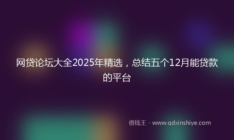 网贷论坛大全2025年精选，总结五个12月能贷款的平台