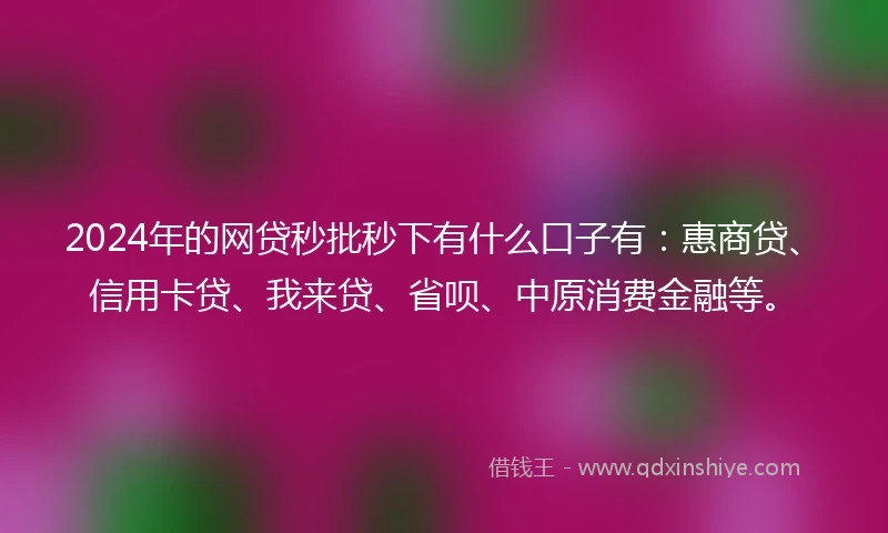 2024年的网贷秒批秒下有什么口子有：惠商贷、信用卡贷、我来贷、省呗、中原消费金融等。