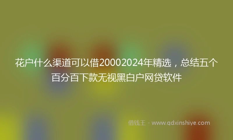 花户什么渠道可以借20002024年精选，总结五个百分百下款无视黑白户网贷软件