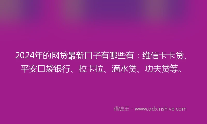 2024年的网贷最新口子有哪些有：维信卡卡贷、平安口袋银行、拉卡拉、滴水贷、功夫贷等。