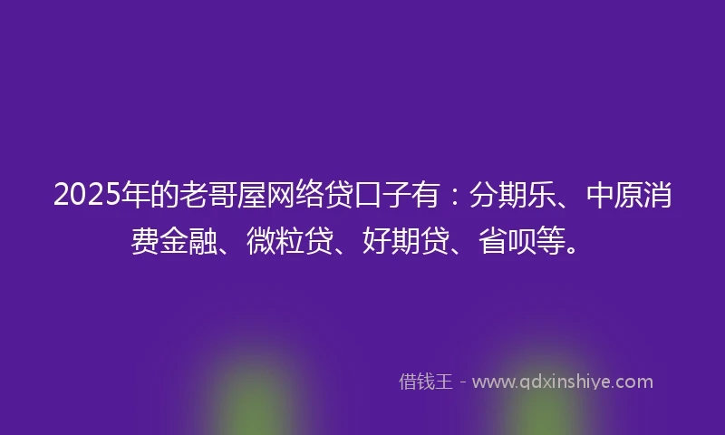 2025年的老哥屋网络贷口子有：分期乐、中原消费金融、微粒贷、好期贷、省呗等。