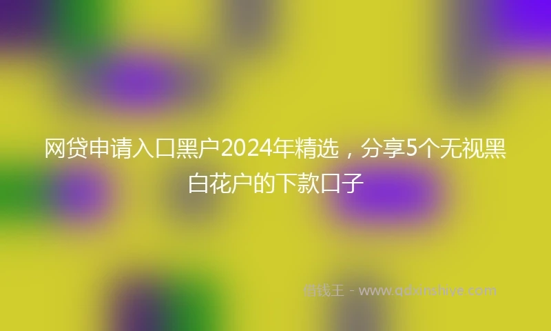 网贷申请入口黑户2024年精选，分享5个无视黑白花户的下款口子