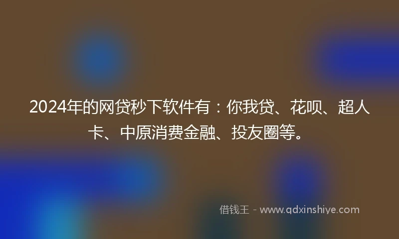 2024年的网贷秒下软件有：你我贷、花呗、超人卡、中原消费金融、投友圈等。