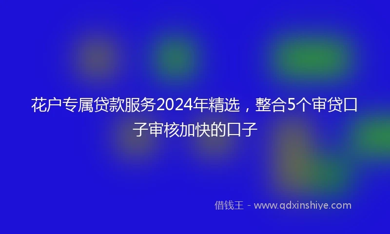 花户专属贷款服务2024年精选,整合5个审贷口子审核加快的口子