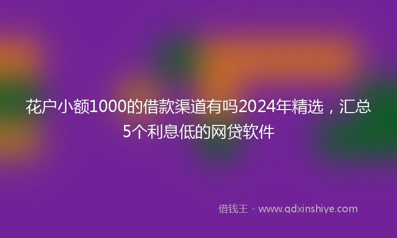花户小额1000的借款渠道有吗2024年精选,汇总5个利息低的网贷软件