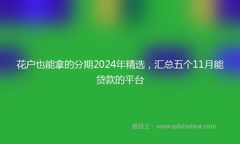 花户也能拿的分期2024年精选，汇总五个11月能贷款的平台