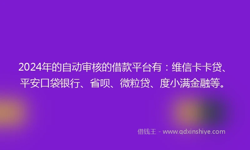 2024年的自动审核的借款平台有：维信卡卡贷、平安口袋银行、省呗、微粒贷、度小满金融等。
