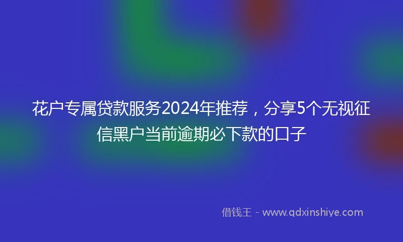 花户专属贷款服务2024年推荐，分享5个无视征信黑户当前逾期必下款的口子