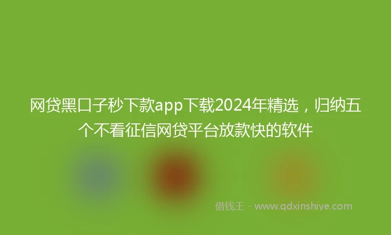 网贷黑口子秒下款app下载2024年精选，归纳五个不看征信网贷平台放款快的软件