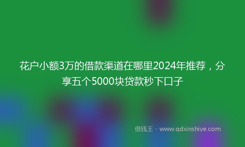 花户小额3万的借款渠道在哪里2024年推荐，分享五个5000块贷款秒下口子